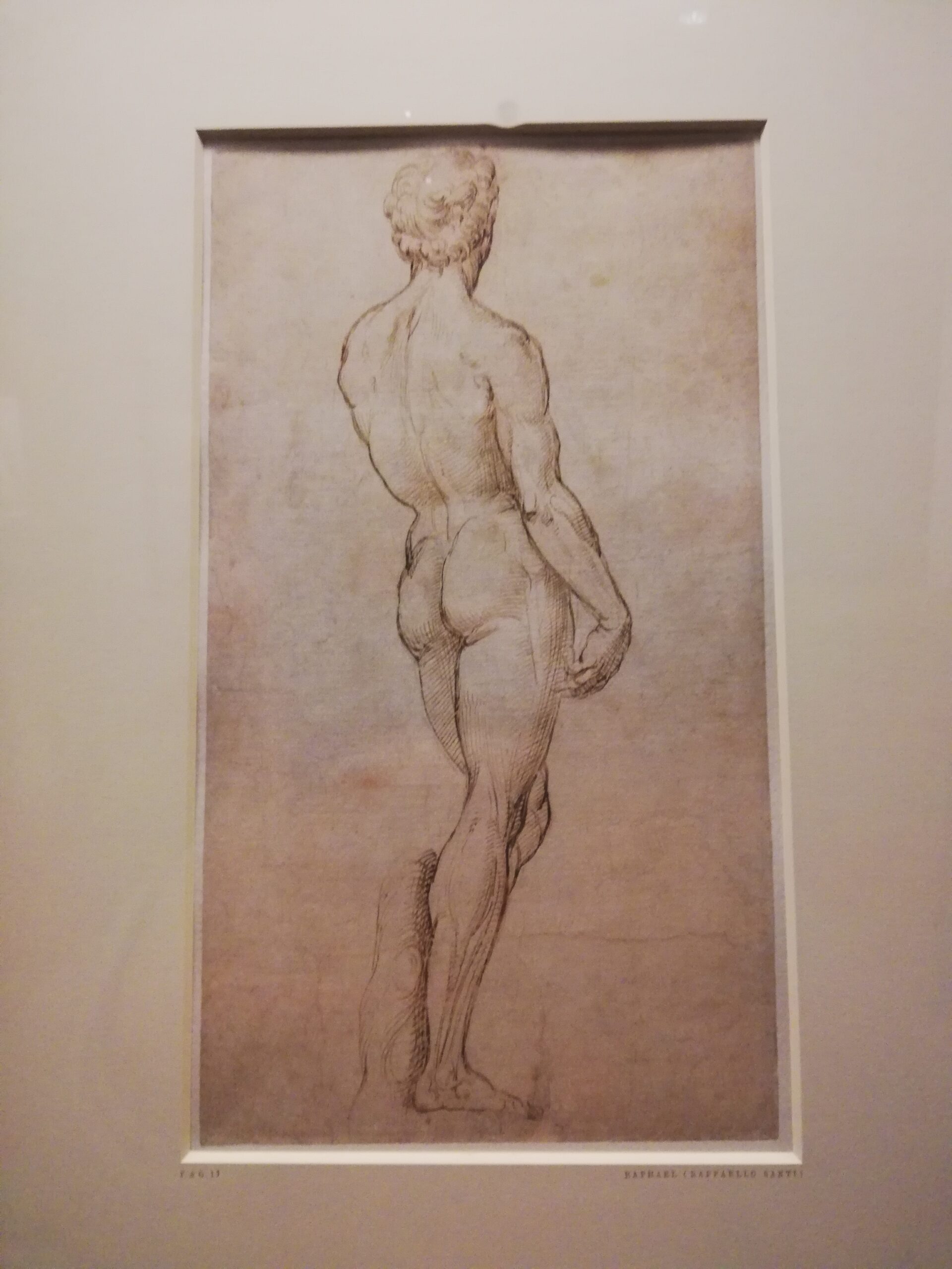 Raphael and his school drawing connections – British Museum Review