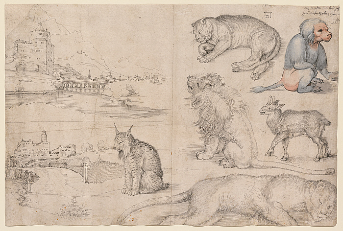 Dürer’s Journeys: Travels of a Renaissance Artist Review