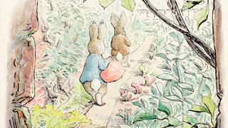 Beatrix Potter: Drawn to Nature – V&A Review