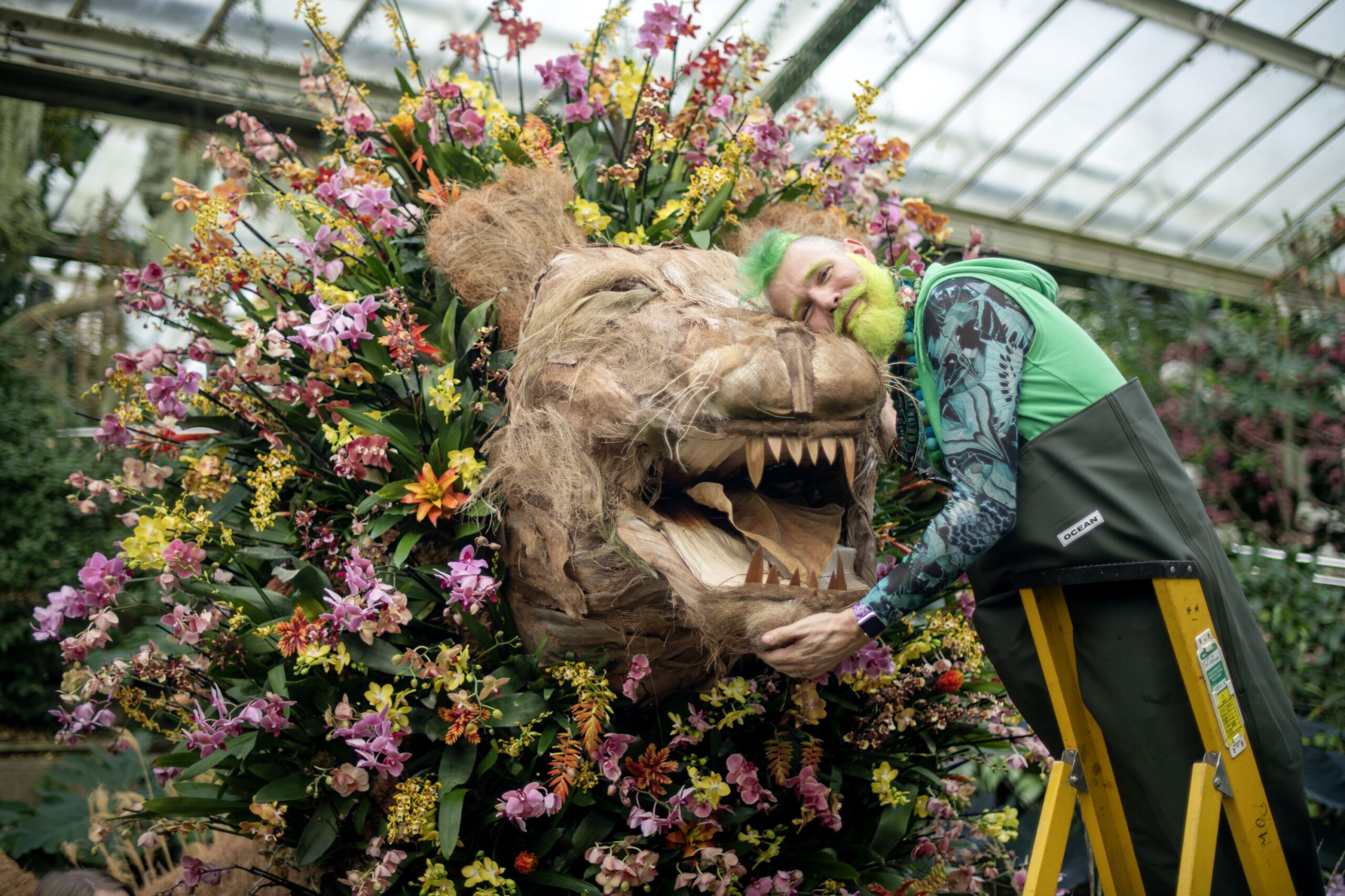 Review: Kew Gardens Orchid Festival 2023 – Inspired by the biodiversity of Cameroon – Now on until 5 March