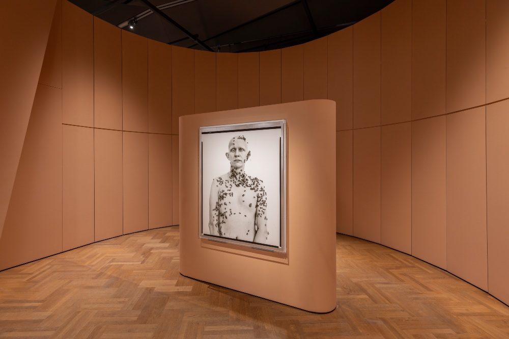 Review: ‘Fragile Beauty’: Timeless Moments from the Sir Elton John and David Furnish Photography Collection at V&A – until 5th January 2025