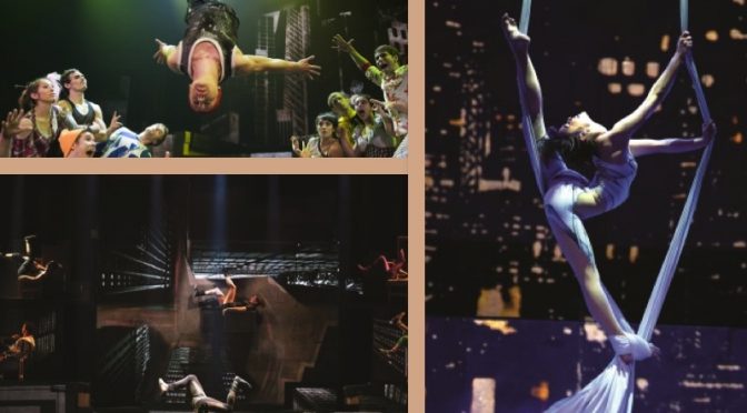 Cirque Eloize – ID, Canadian contemporary circus