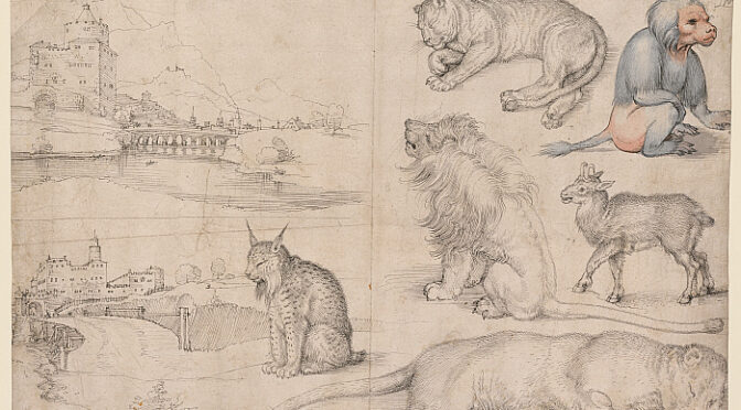 Dürer’s Journeys: Travels of a Renaissance Artist Review