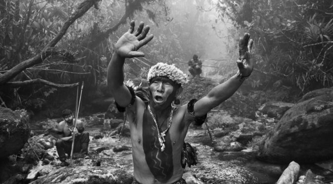 Sebastião Salgado: Amazônia – Review