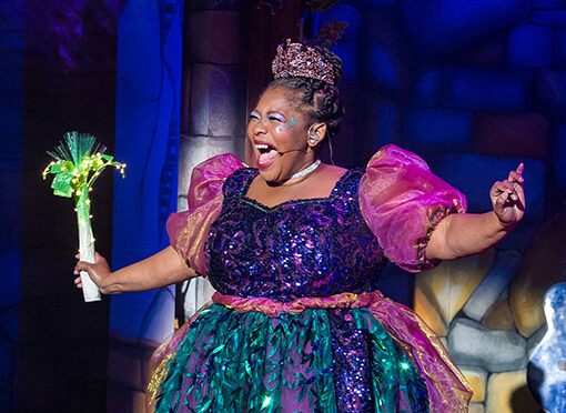 Jack and the Beanstalk – The Rock ‘n’ Roll Panto at New Wolsey Theatre-Review