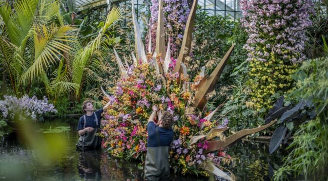 Costa Rica blooms at Kew’s Orchid Festival 2022