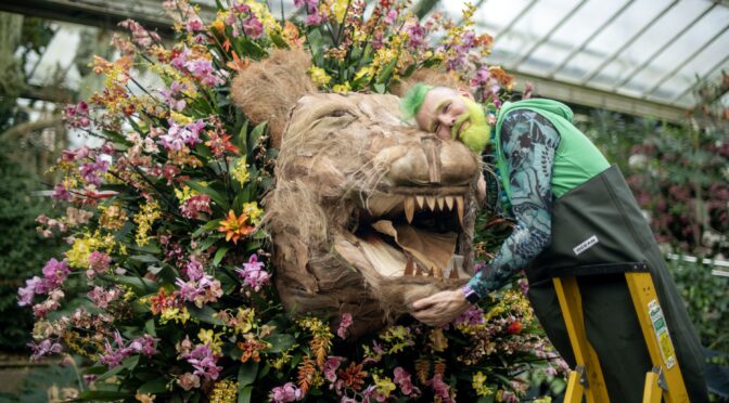Review: Kew Gardens Orchid Festival 2023 – Inspired by the biodiversity of Cameroon – Now on until 5 March
