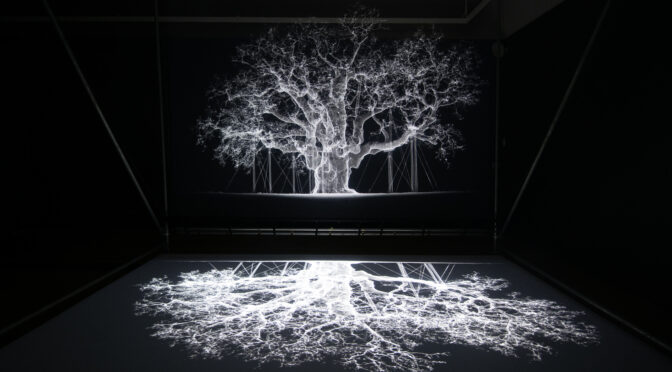 Review: Petrichor by Mat Collishaw “forges a blossoming relationship between Artificial Intelligence (AI) and nature”-Shirley Sherwood Gallery, Kew Gardens – until 7 April 2024