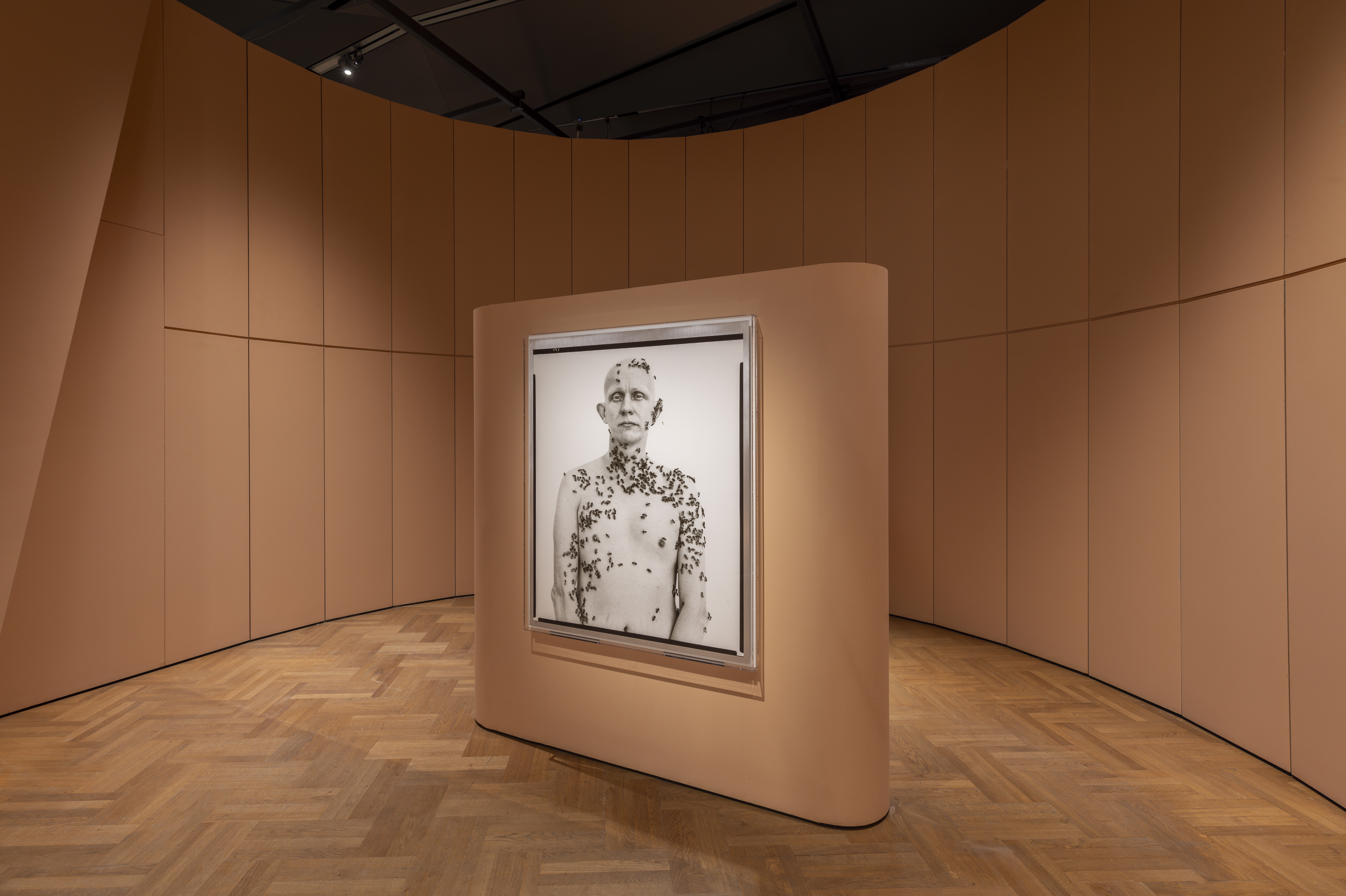 Review: ‘Fragile Beauty’: Timeless Moments from the Sir Elton John and David Furnish Photography Collection at V&A – until 5th January 2025